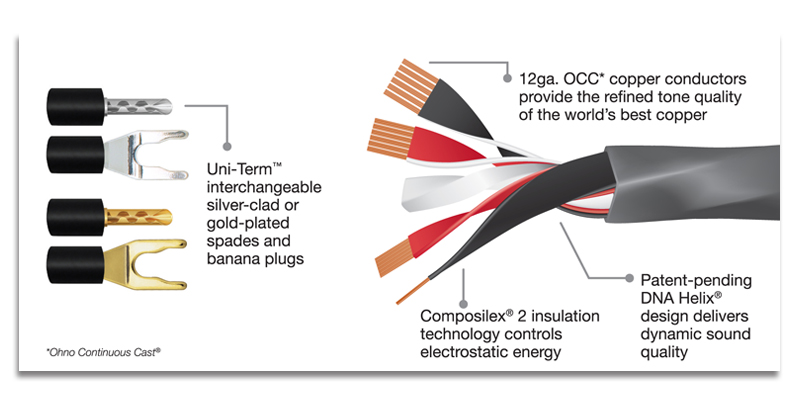 eqs info 800px